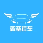 翼圣-控车 icon