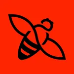 Bee hive monitoring diag icon