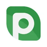 p2pb2b icon