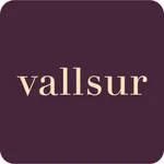 CC Vallsur icon