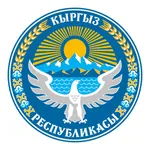 ШтрафИнфо KG icon