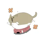 Lazy Fat Cat icon
