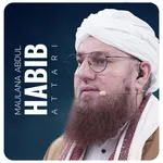 Maulana Abdul Habib icon