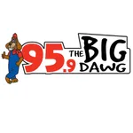 95.9 The Big Dawg icon