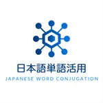 日語詞彙活用速查系統 icon