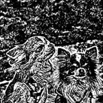 Change photo/image to woodcut! icon