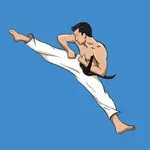 Mastering Taekwondo Training icon