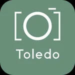 Toledo Guide & Tours icon