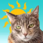 Sunkitty icon