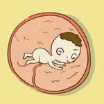 Fetal Movement Counter icon
