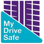 MyDriveSafe.Expert icon