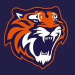 Tigres de Quintana Roo icon