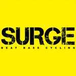 Surge Spin icon