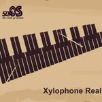 Xylophone Real: 2 mallet types icon