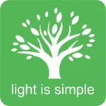 Simple lighting icon