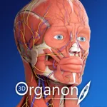 3D Organon Anatomy Enterprise icon