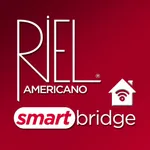 Rielamericano Smart Bridge icon