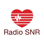 Radio SNR icon