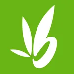 Bamboo Remodeling icon