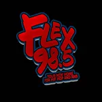 Flex 98 Radio icon