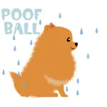 Pomeranian Dog Pom Pom Sticker icon
