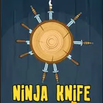 Ninja Knife Hit Game icon