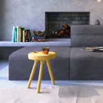 Home Design 3D - Spruce icon