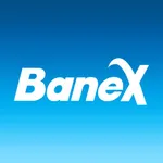 Banex DVR icon