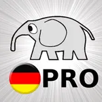 Deutsch Grammatik Test PRO icon