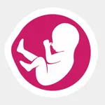 Pregnancy Kick Counter icon
