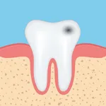 Dental Anatomy Quizzes icon