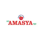 Mis Amasya Tur icon