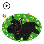 Animated Adorable Scottie Dog icon