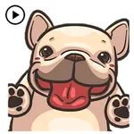 Animated Funny French Bulldog icon