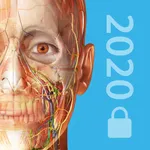 2020 Atlas Perpetual icon