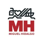 Miguel Hidalgo icon