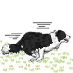 Border Collie Dog Icon Sticker icon