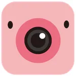 Mini Cam icon