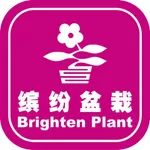 缤纷盆栽 icon