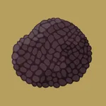 Laumont Shop - Fresh Truffles icon