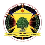 Emerald School Palwal icon