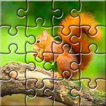 Photos Jigsaw Puzzle icon