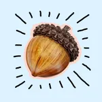 Acorn Catalog icon