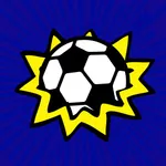 FLASH icon