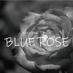 BLUE ROSEの公式アプリ icon