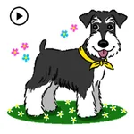 Animated Miniature Schnauzer icon