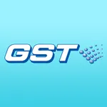 GST调试助手 icon