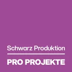 Pro Projekte WORK Mobile icon