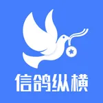 信鸽纵横 icon