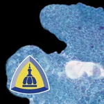 Thyroid Pathology icon